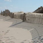 best delaware beaches