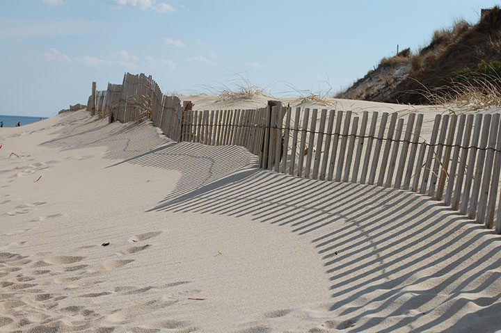 best delaware beaches