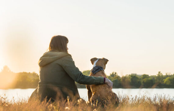 creating a better connection with your dog