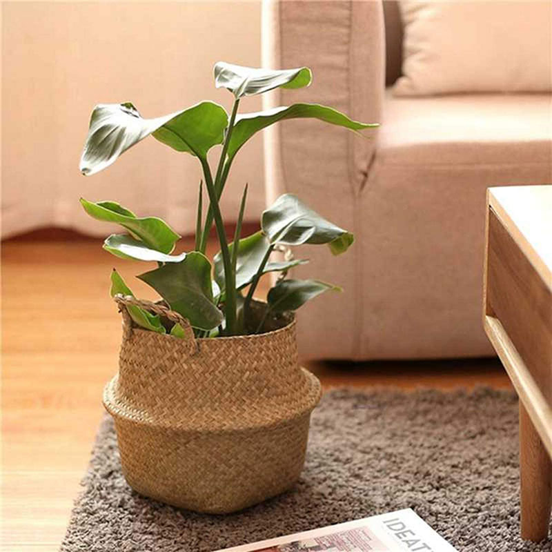 indoor plant basket