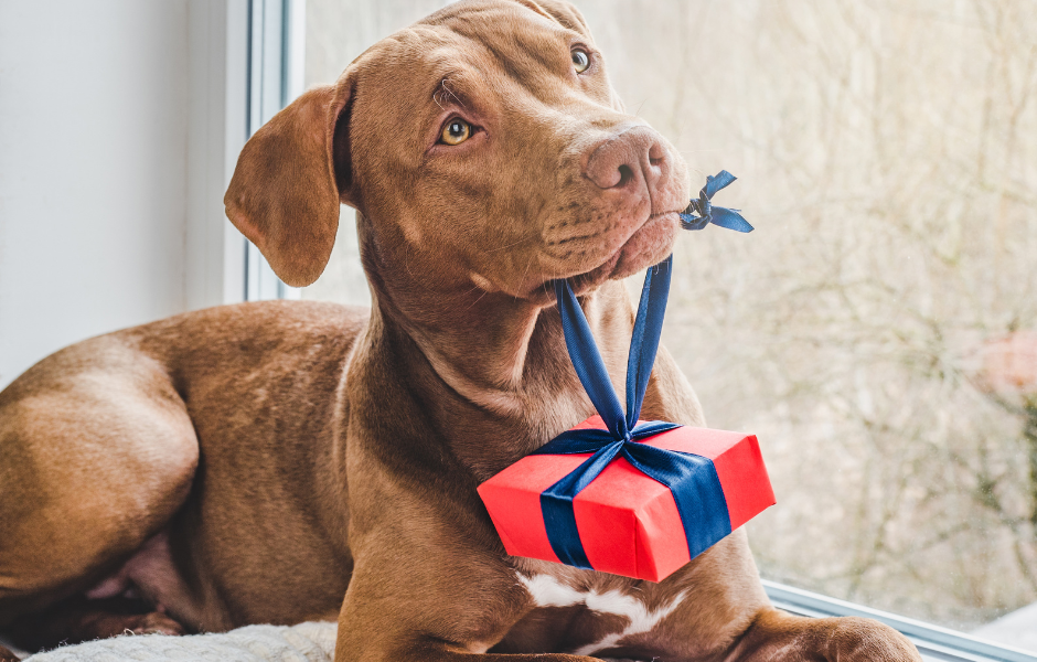 best gifts for dog moms