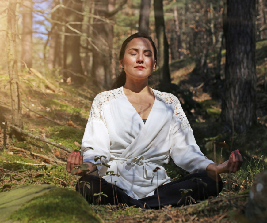 What is forest bathing?