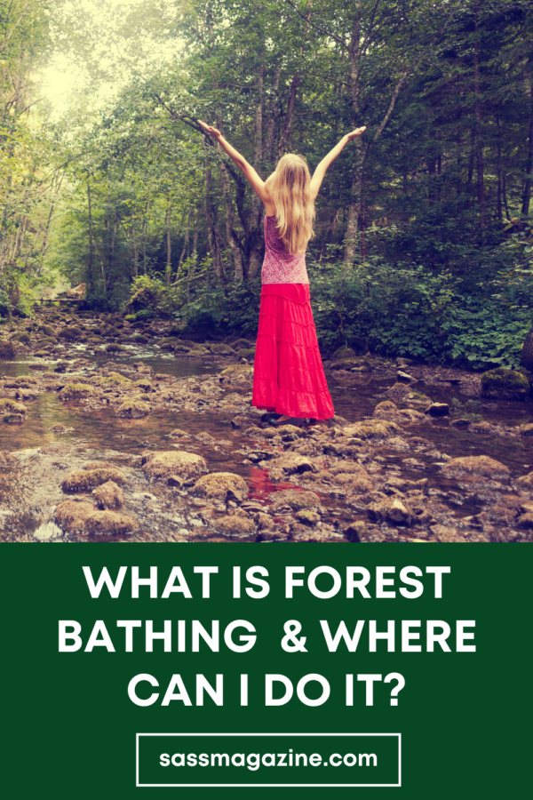 What Is Forest Bathing? And Where Can I Do It? - Sass Magazine