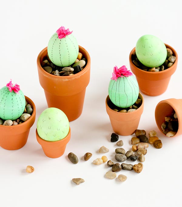 cactus inspired eggs