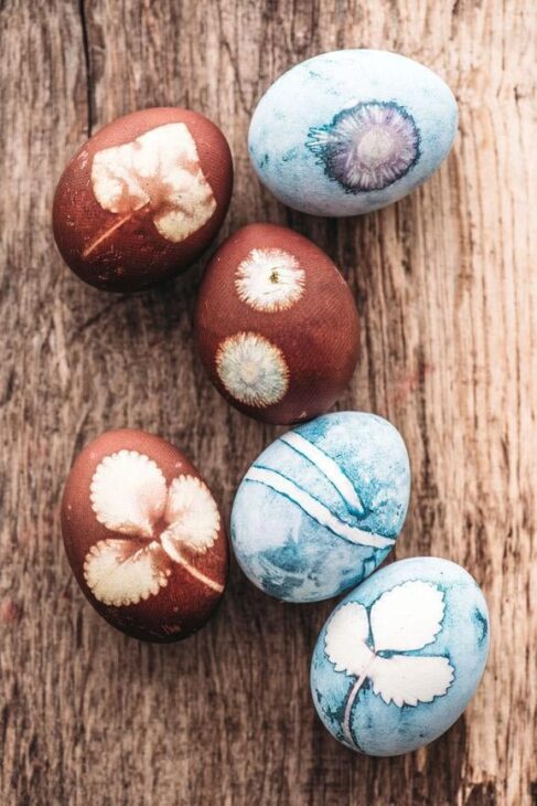 blue and brown naturally dyed eggs