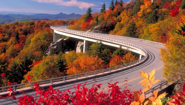 The Best Fall Foliage Locations in Virginia