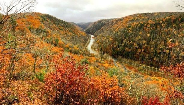 The Best Fall Foliage Locations in PA