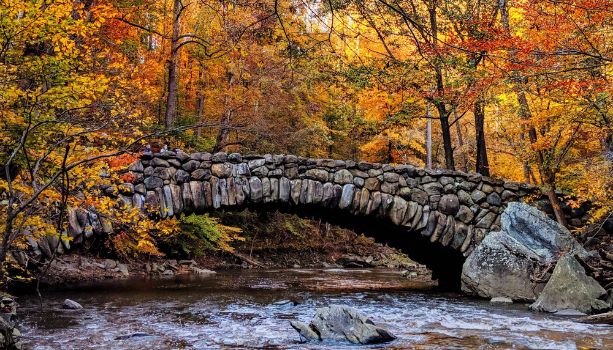 The Best Fall Foliage Locations in Maryland