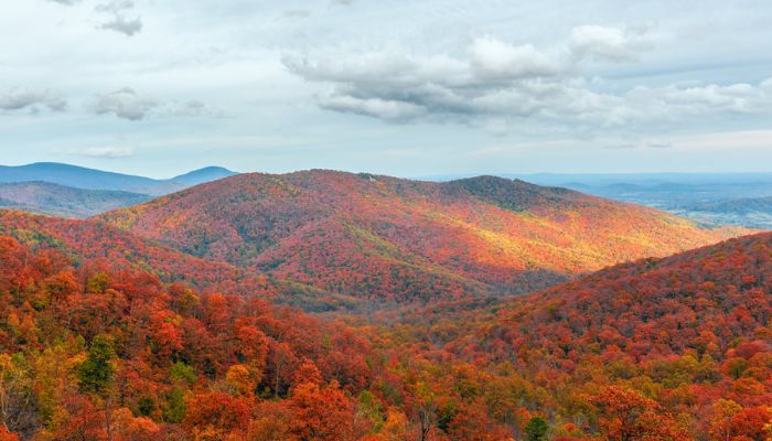 The best mid atlantic fall foliage trips for fall