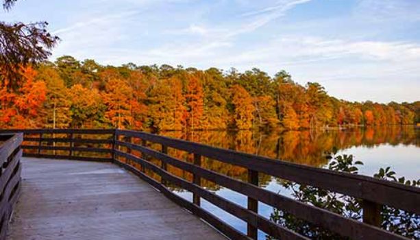 The Best Fall Foliage Locations from New York to North Carolina - Delaware