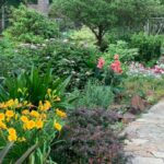 The benefits and importance of Native Landscaping