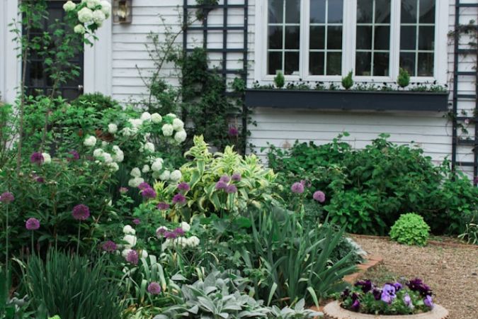 Everything to know about incorporating Native Landscaping