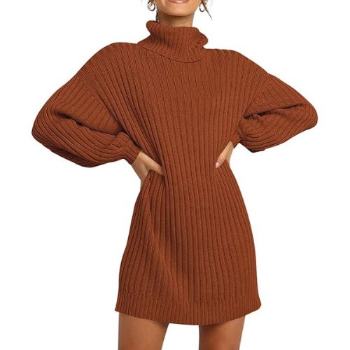 Women's Sweater Turtleneck Dress