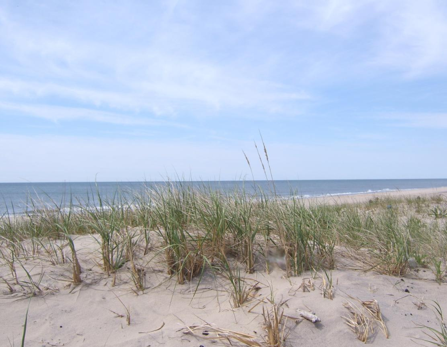 Coopers Beach