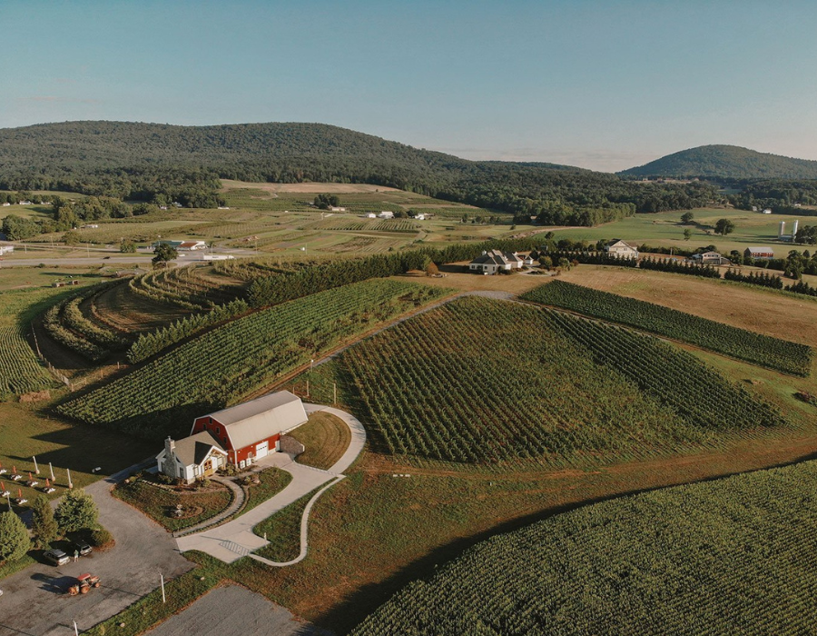 Catoctin Breeze Vineyard Thurmont MD