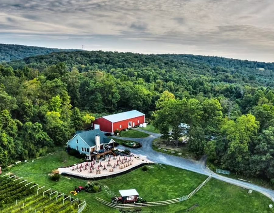 red heifer winery