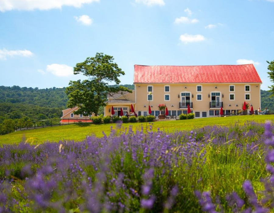 Top winery in frederick county