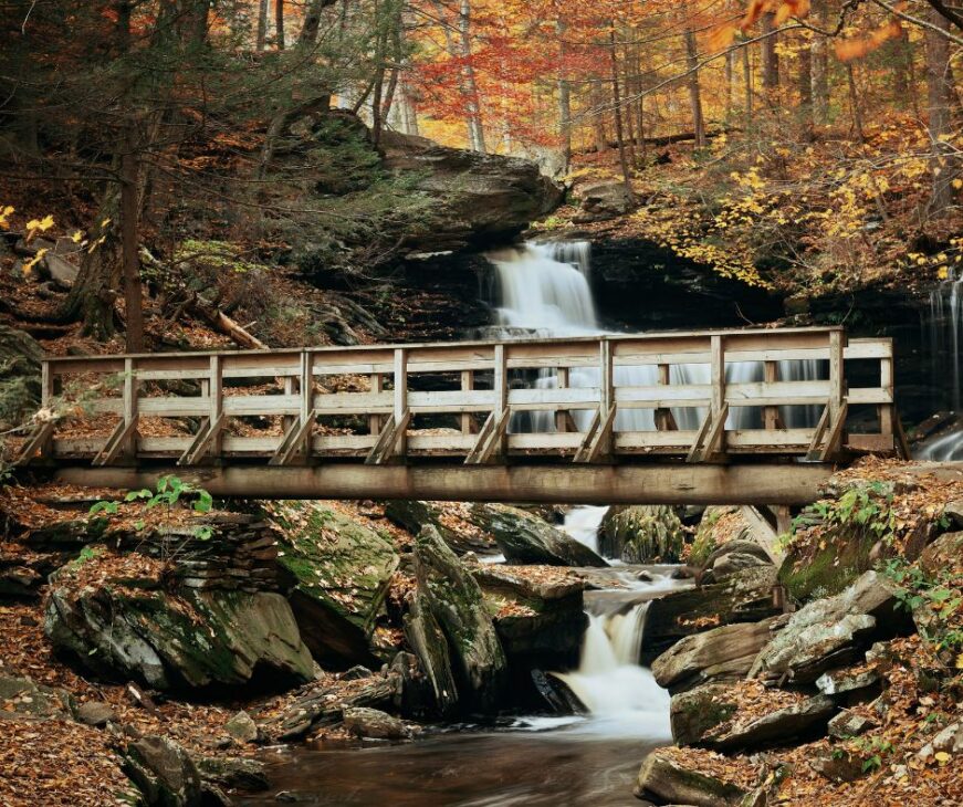Deleware fall foliage