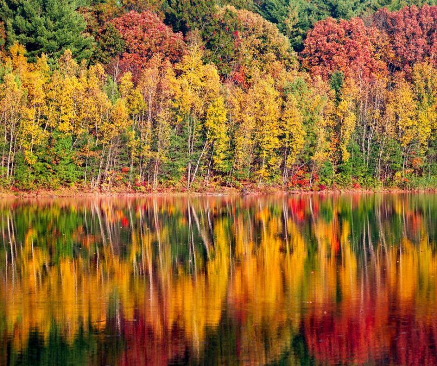 PA fall foliage