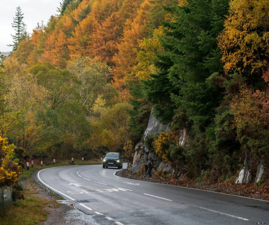 New Jersey Fall Foliage