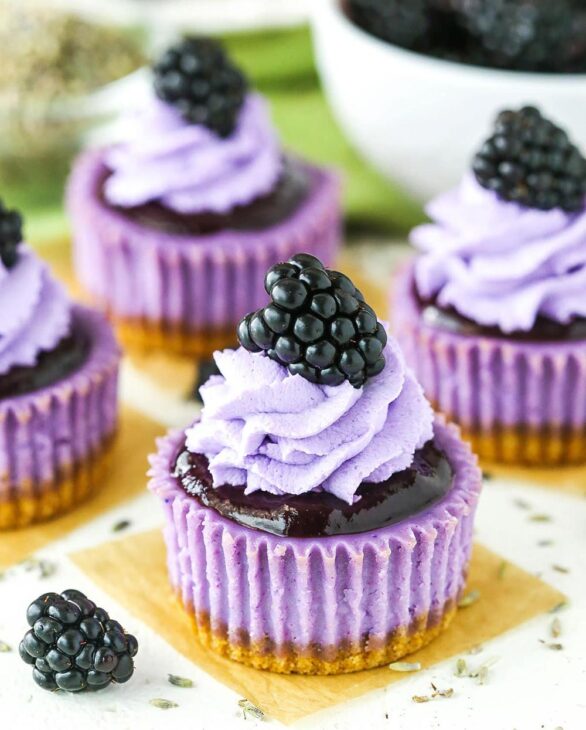 lavender cheesecakes