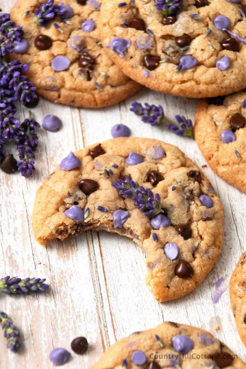 lavender and chocolate cookies
