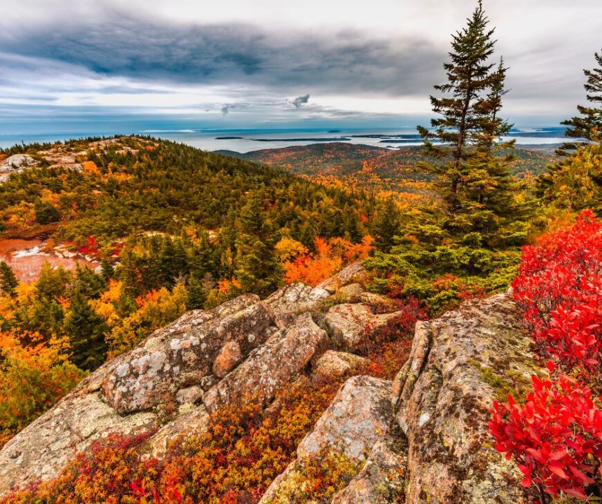 Fall Foliage Virgina