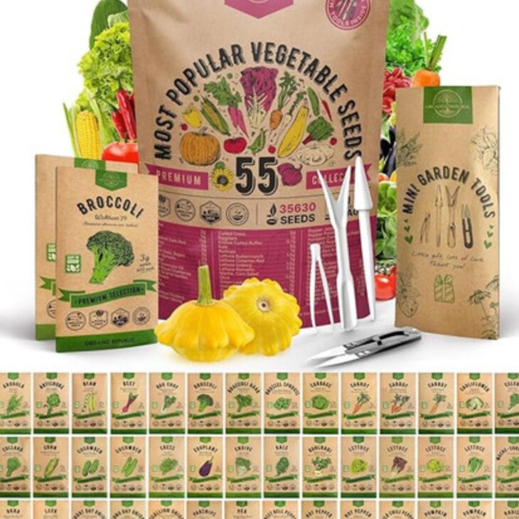 Vegetable seed packet