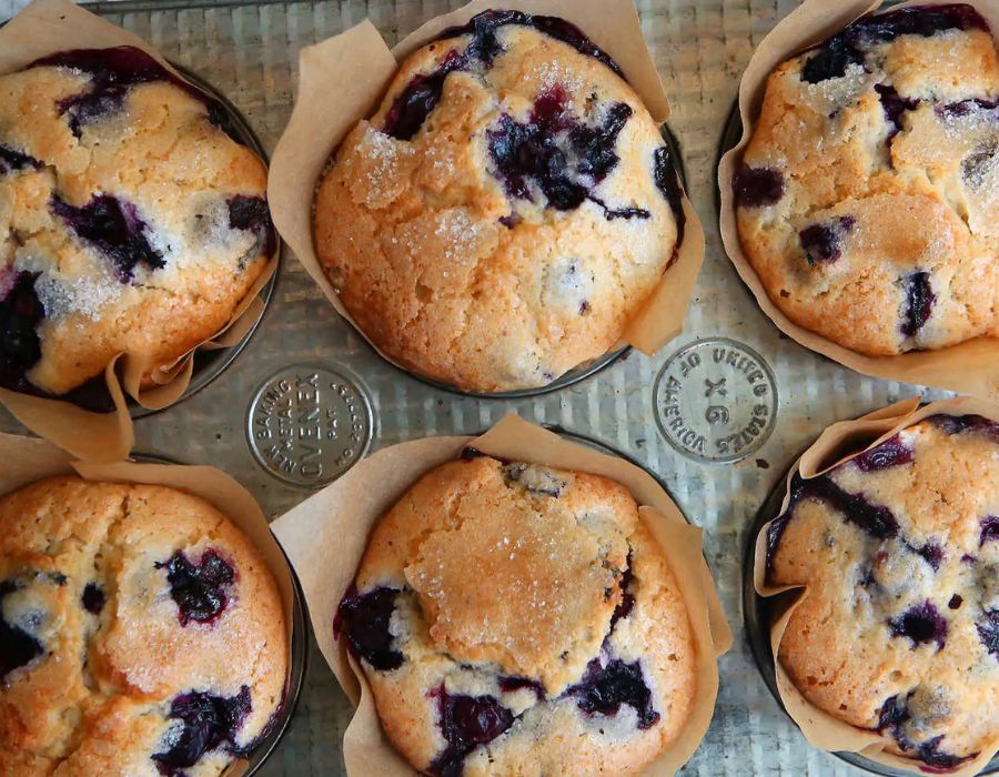 Blueberry muffins