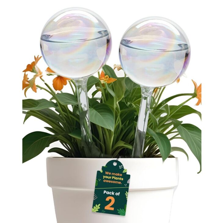 self watering globes