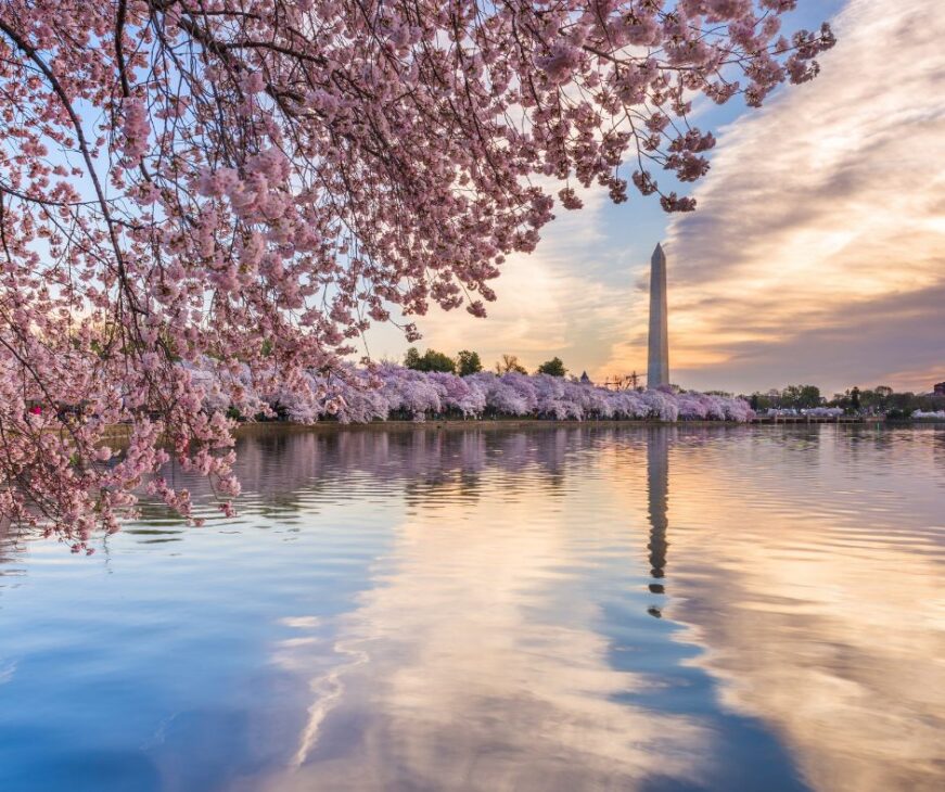 Washington, DC