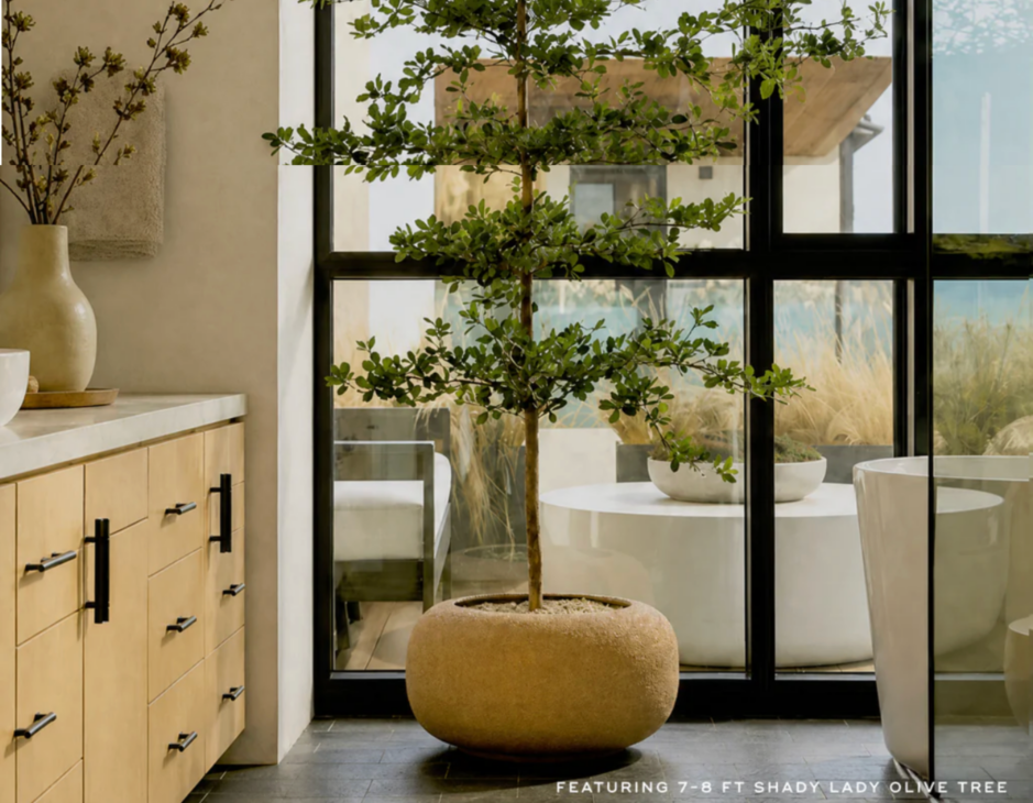 faux olive tree
