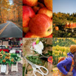 fall activity